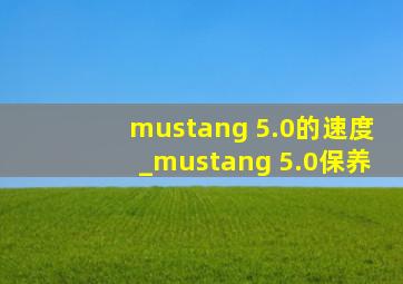 mustang 5.0的速度_mustang 5.0保养